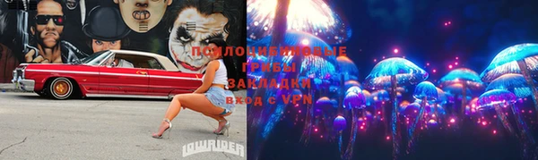 шишки Михайловск