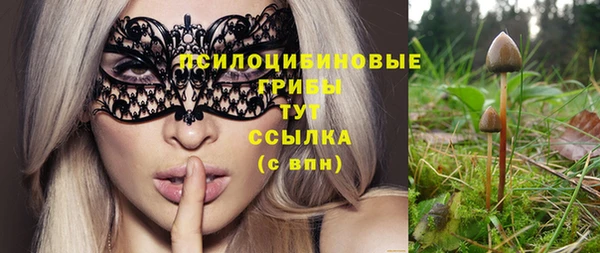 ГАЛЛЮЦИНОГЕННЫЕ ГРИБЫ Каменск-Шахтинский