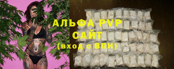 крисы Медногорск