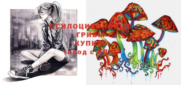 соль курить ск Михайлов