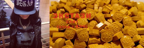 крисы Медногорск